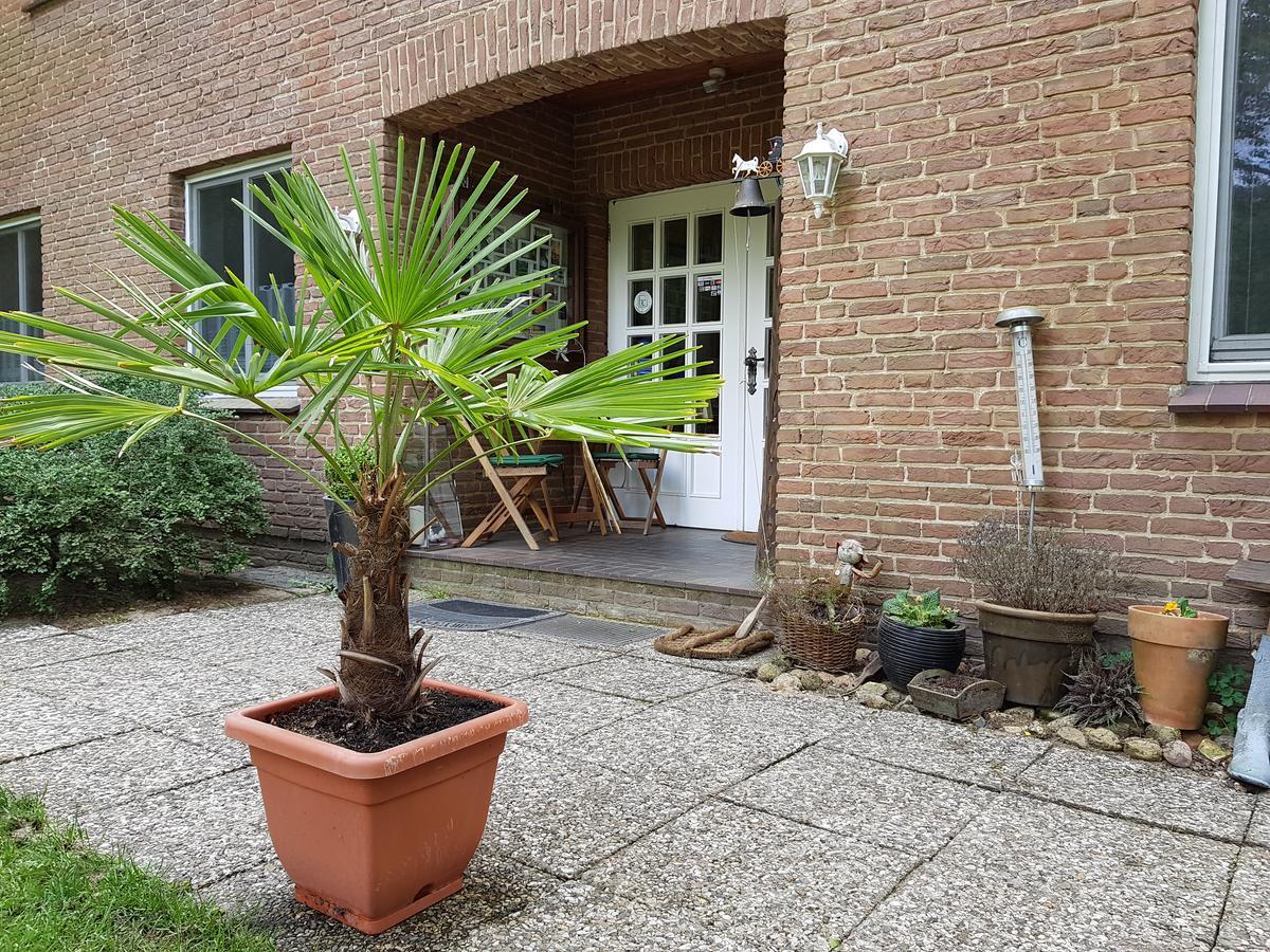 Oberhaverbeck Pension 'Das Kleine Landhaus' מראה חיצוני תמונה
