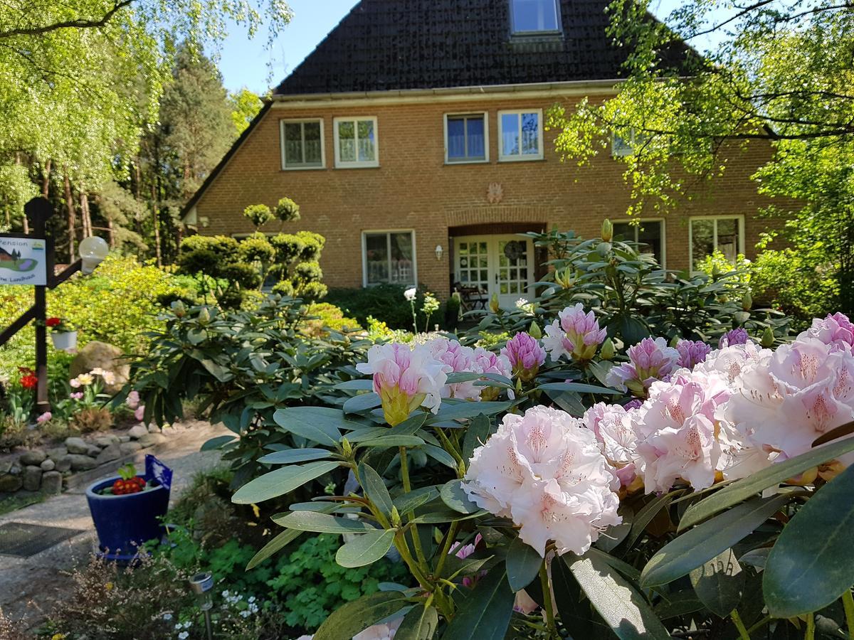 Oberhaverbeck Pension 'Das Kleine Landhaus' מראה חיצוני תמונה